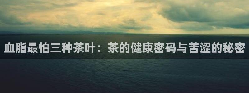 安信卓越12月