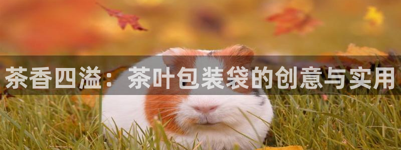 安信12下载