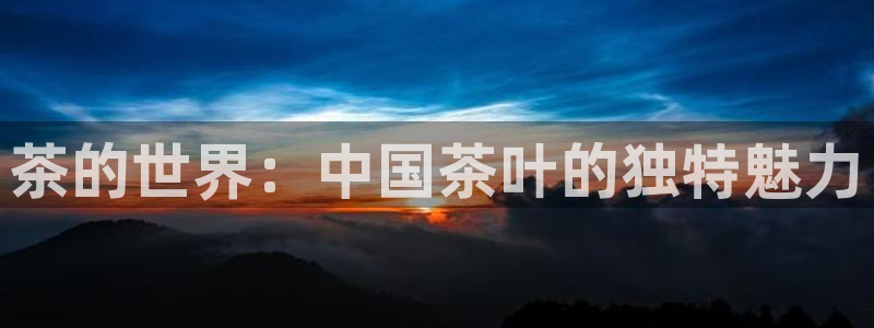 安信可12f