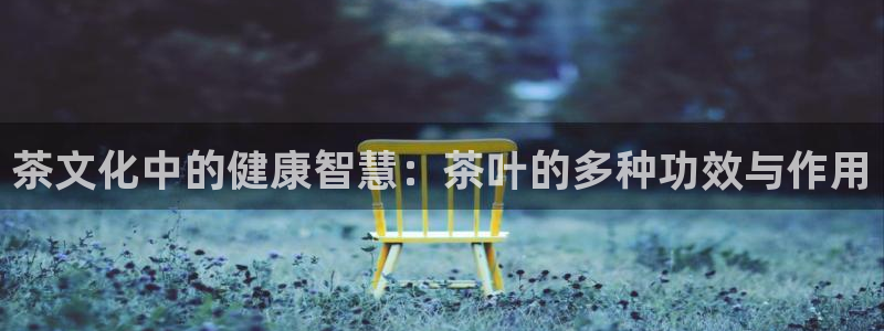 安信cw12系列