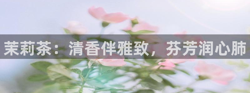 安立信T12测评