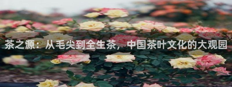 安信cwa12