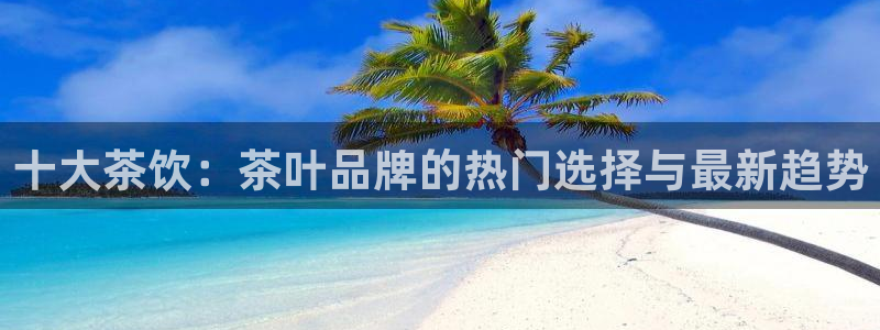 安信12月金股
