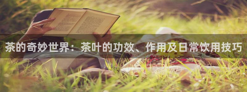 安信卓越12月