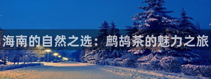 安信12app下载