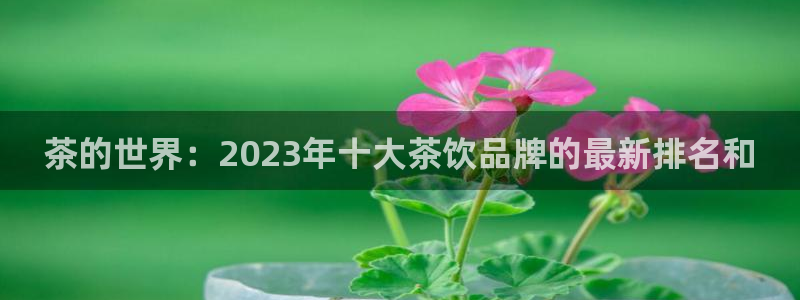 如何注销安信12软件