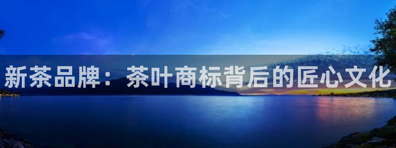 安信12周年庆