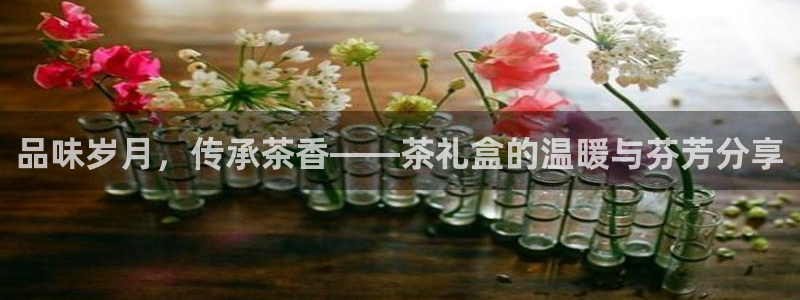 安信安赢12号