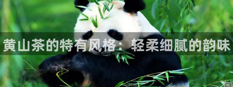 安信可12f