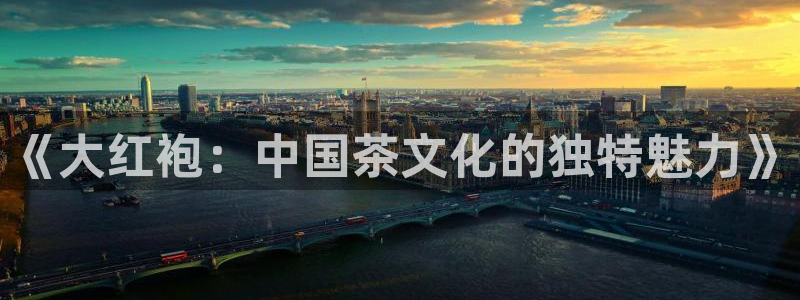 安信12注册代理