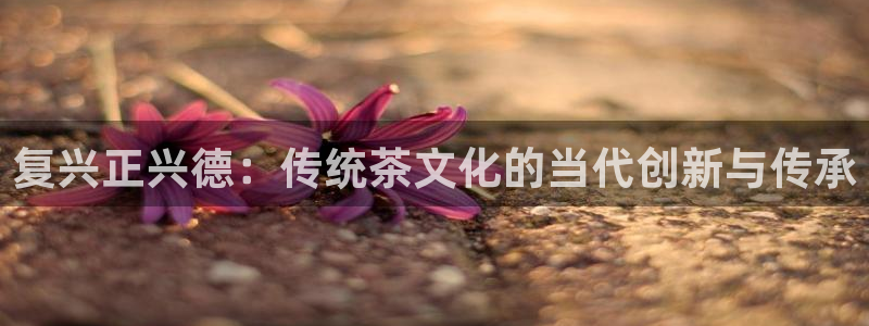 安信12想开户
