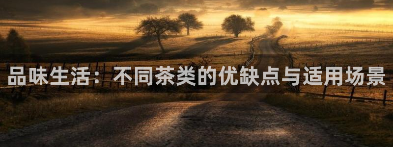 安信12级