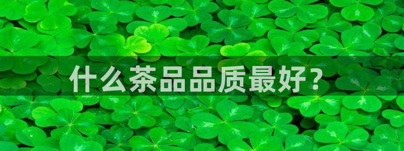 安信12平台的网址