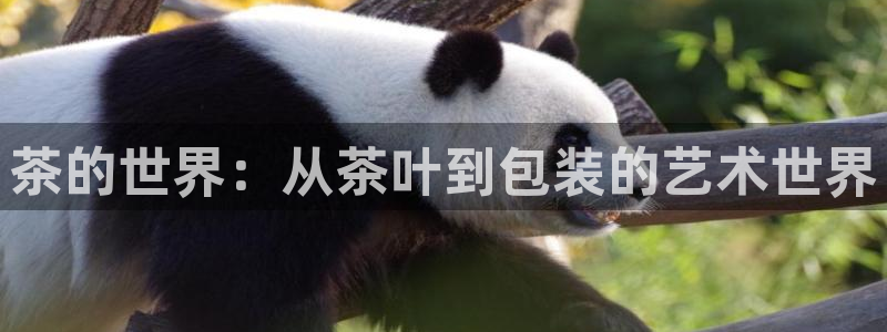 安信12平台的网址