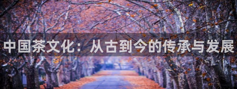 安信12是什么软件