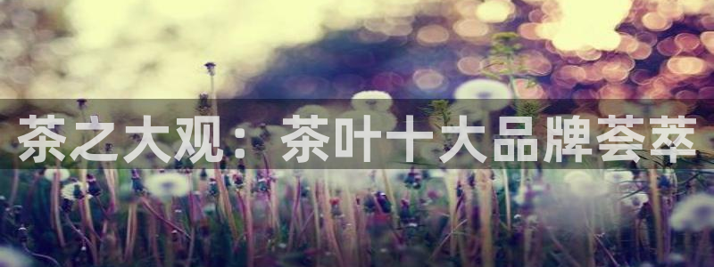 安立信T12测评