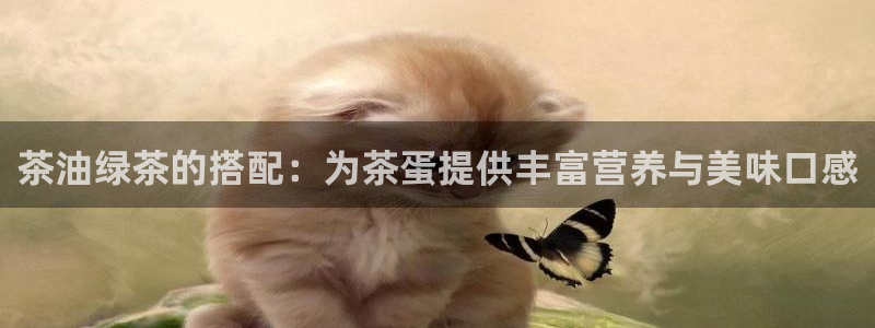 安信12注册登录平台