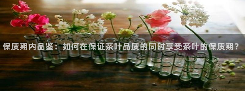 安信cwa12