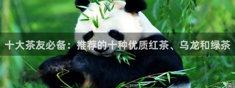 安信12网站