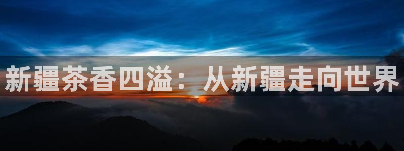 安信可12e12f