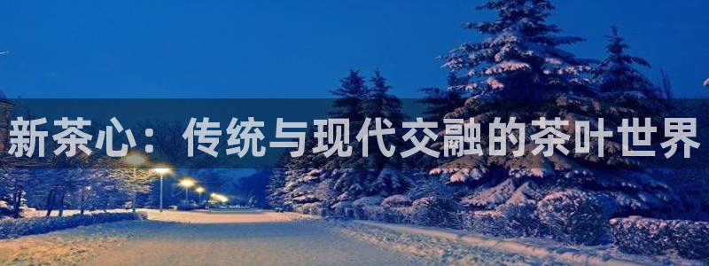 安信12是正轨网站吗