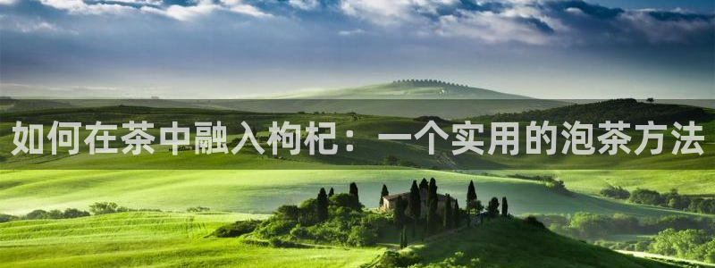 安信12是正轨网站吗