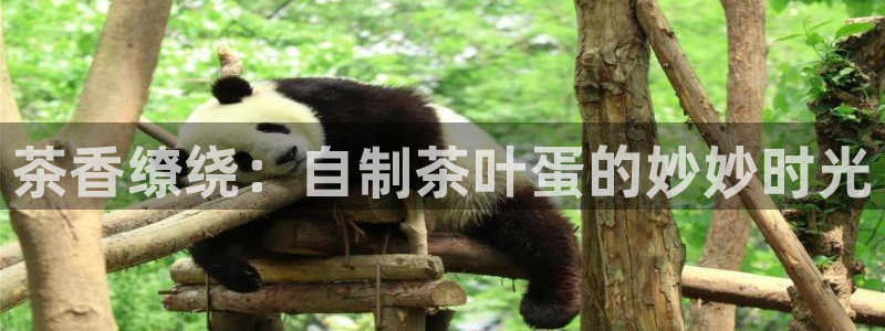 安信12是正规还是仿