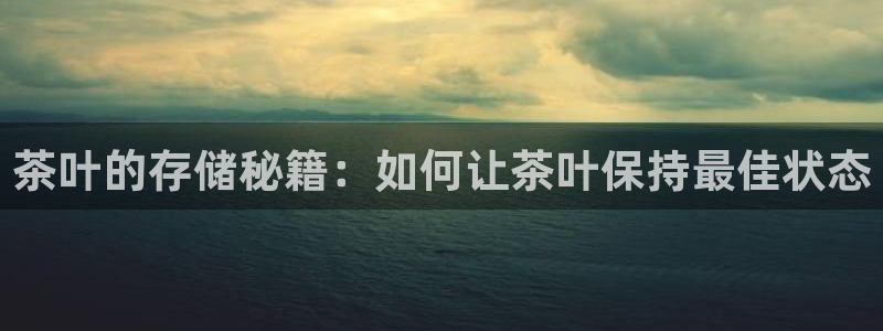 安信12官方网站查询
