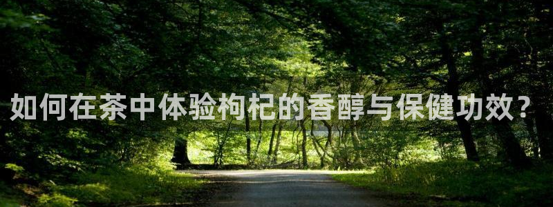 安信12如何开代理