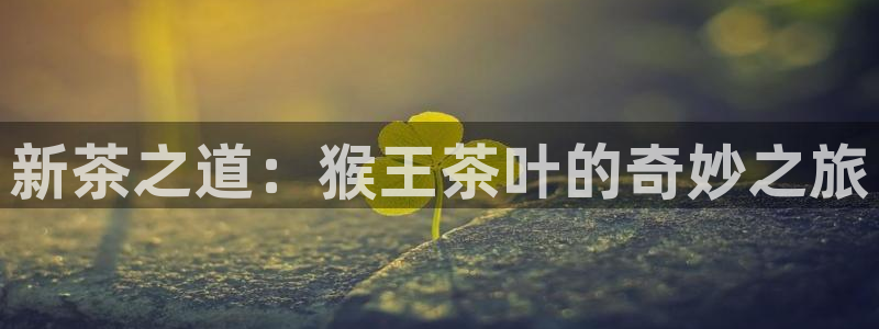 安信12网站