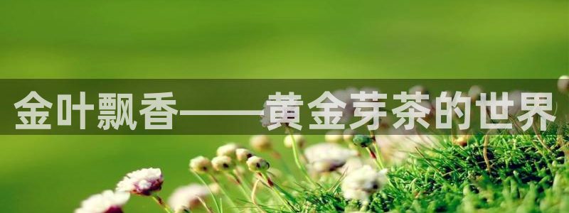 安信主管ke金12手12指ho