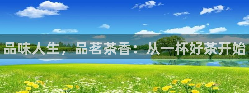 安信12主管