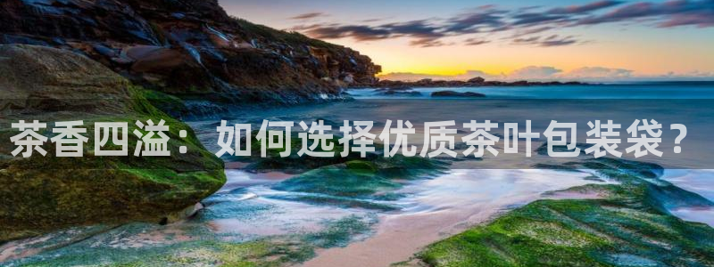 安信12是什么软件
