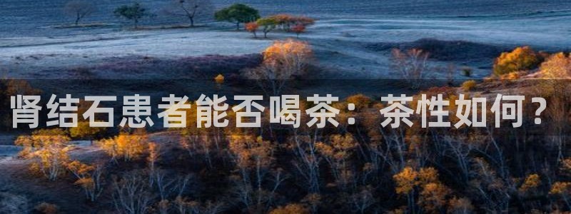 安信12平台