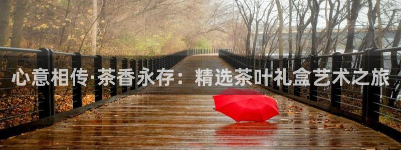 安信12娱乐开户
