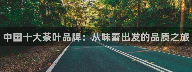 安信12软件介绍