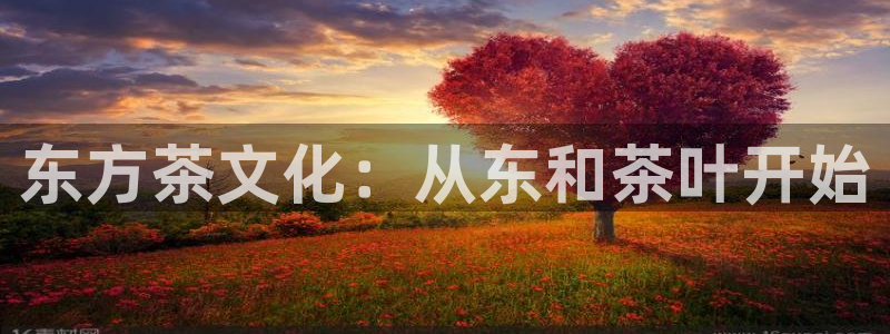 安信12周年庆