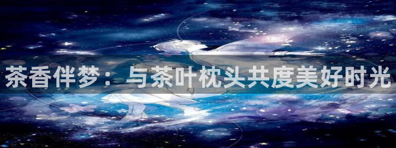 安信12位数资金号