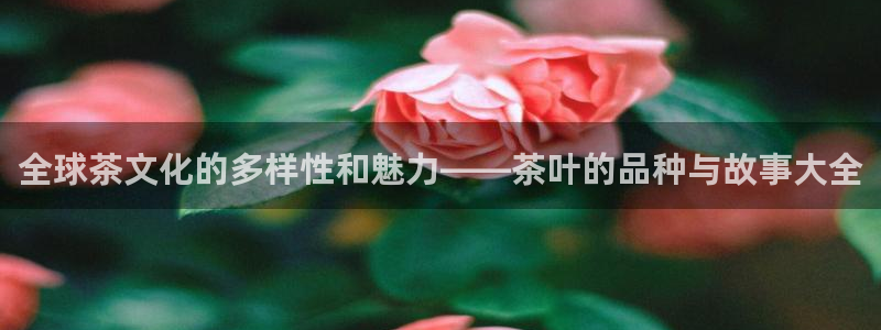信安杯12