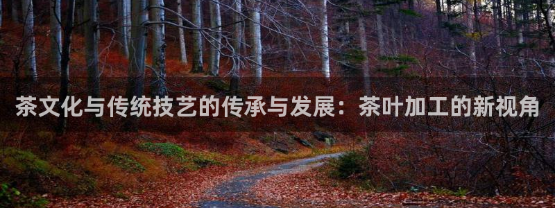 安信12赛车