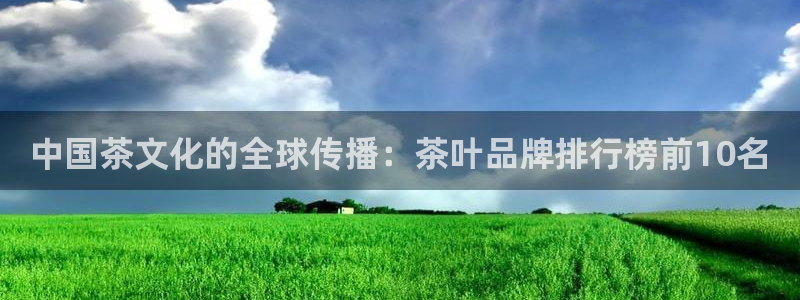 安信12级灯牌