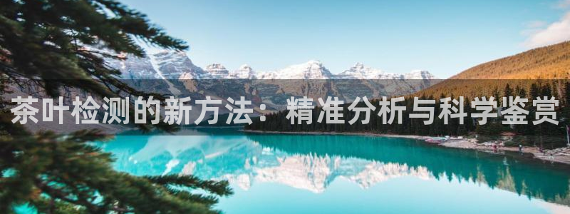 安信12娱乐开户