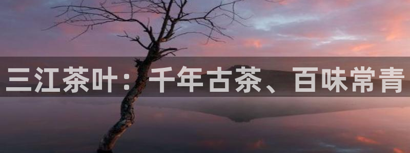 安信12代理