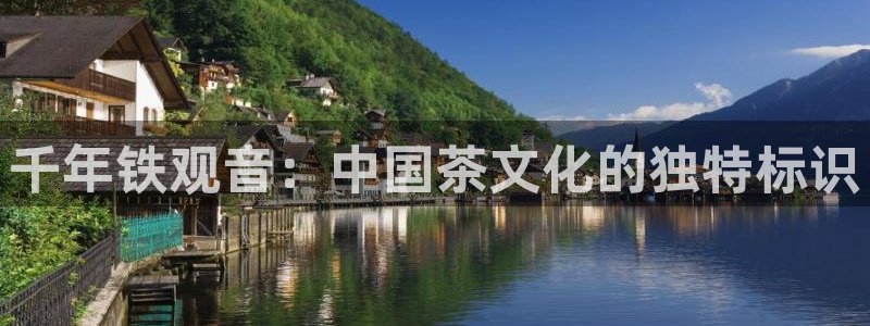 安信12是正规还是仿