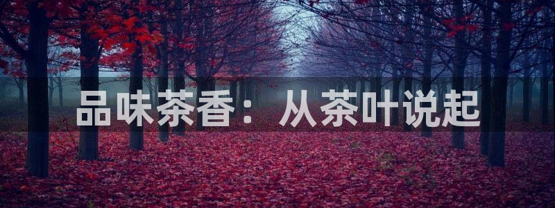 安信12软件介绍