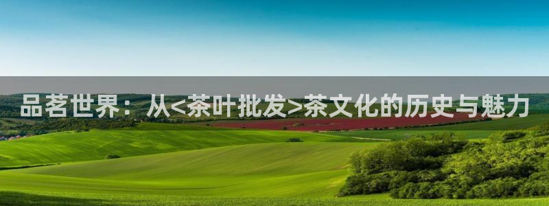 安信12是正轨网站吗