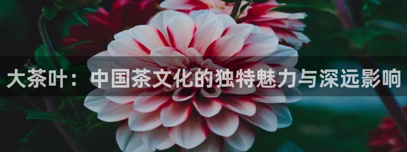 安信12娱乐平台