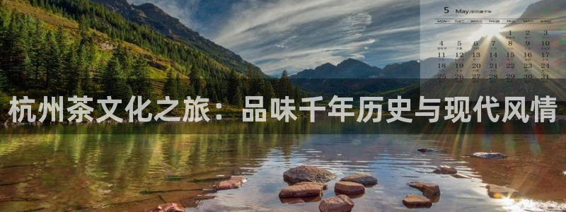安信12月金股