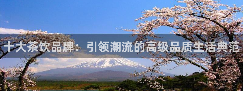 安信12级大众