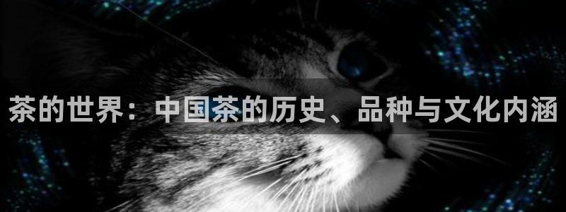 安信12是正规还是仿